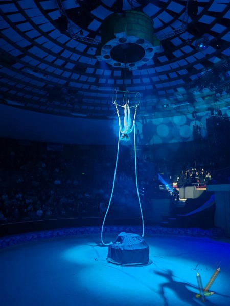 Nyolcadikos diákjaink a Fővárosi Nagycirkuszban: Holle anyó új köntösben