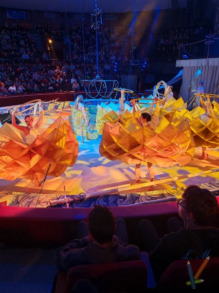 Nyolcadikos diákjaink a Fővárosi Nagycirkuszban: Holle anyó új köntösben