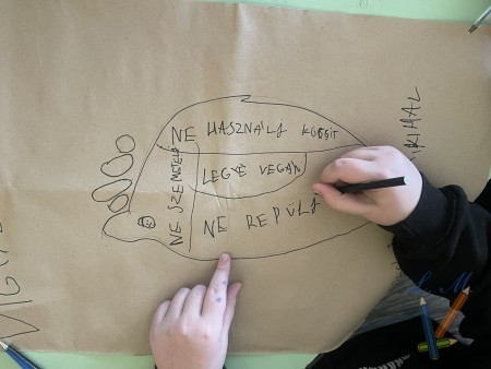 Zöld Béka alprogram