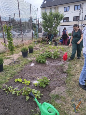 Pályaorientációs délelőtt a Losonczi István EGYMI-ben - élményekkel teli útkeresés a felsősöknek