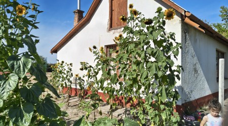 Iskolakert