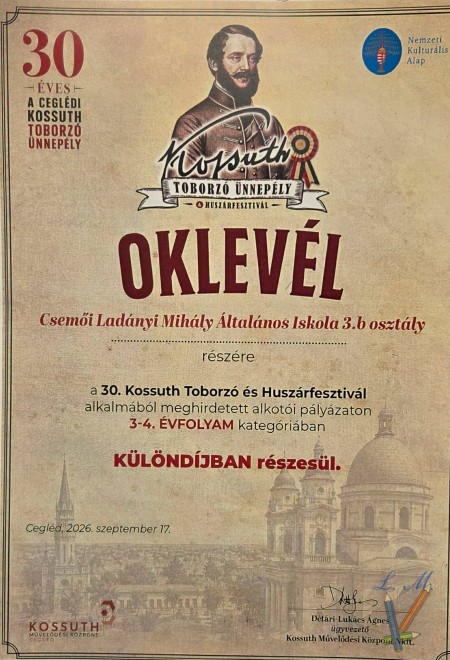 Különdíjas lett a Csemői Ladányi Mihály Általános Iskola 3.b osztálya